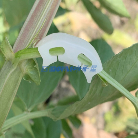 Nuevos clips de soporte de plantas duraderas Vina de jardín Vegetales Tomato para tipos Plantas colgando clip de plástico